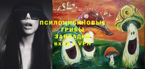 СК Бежецк
