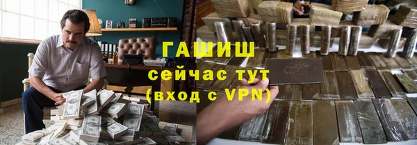 гидра Богородск