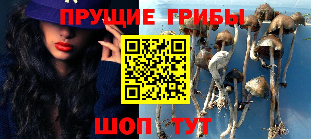 Псилоцибиновые грибы Cubensis  Галлюциногенные грибы GOLDEN TEACHER  Вход с VPN  Ефремов 